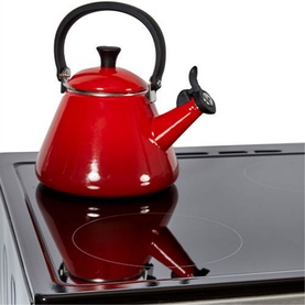 60cm Double Electric Cooker
