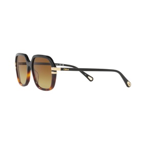Round Sunglasses 6N000513