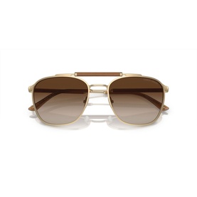 Square Sunglasses AR6149