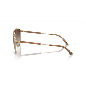Square Sunglasses AR6149