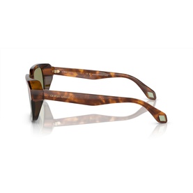 Rectangle Sunglasses AR8194U