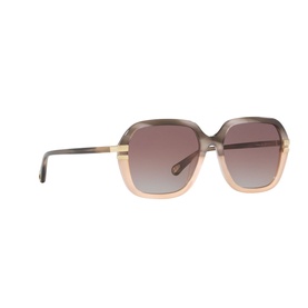 Round Sunglasses 6N000513