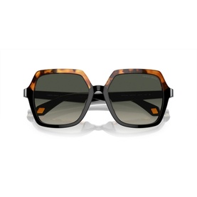 Square Sunglasses AR8193U