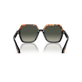 Square Sunglasses AR8193U