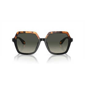 Square Sunglasses AR8193U