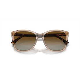 Square Sunglasses EA4060