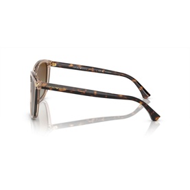 Square Sunglasses EA4060
