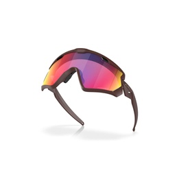 Shield Sunglasses OO9418