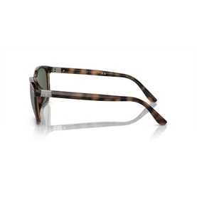 Square Sunglasses PH4208U