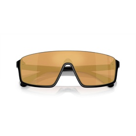 Irregular Sunglasses PH4211U