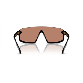 Irregular Sunglasses PH4211U