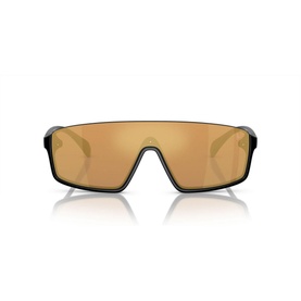 Irregular Sunglasses PH4211U