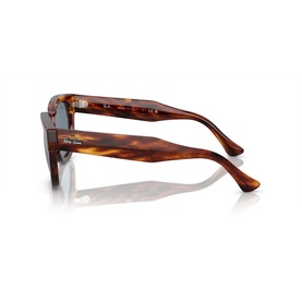 Square Sunglasses RB0298S