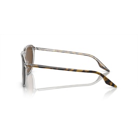 Square Sunglasses RB2203