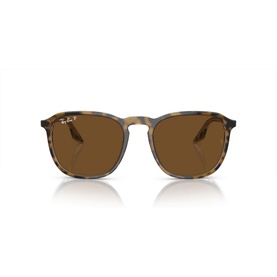 Square Sunglasses RB2203