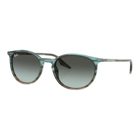 Phantos Sunglasses RB2204