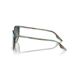 Phantos Sunglasses RB2204
