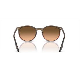Phantos Sunglasses RB2204