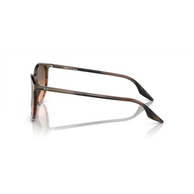 Phantos Sunglasses RB2204