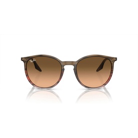 Phantos Sunglasses RB2204