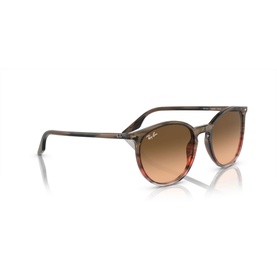 Phantos Sunglasses RB2204