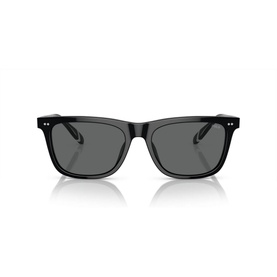 Square Sunglasses PH4205U