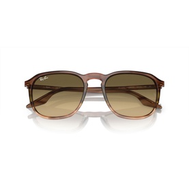 Square Sunglasses RB2203