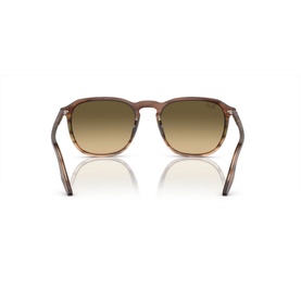 Square Sunglasses RB2203