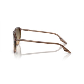 Square Sunglasses RB2203
