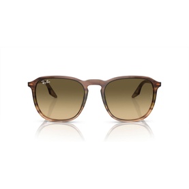 Square Sunglasses RB2203