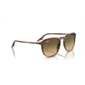Square Sunglasses RB2203