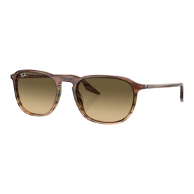Square Sunglasses RB2203