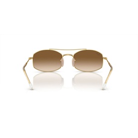 Oval Sunglasses RB3719