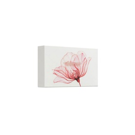 The Ritual of Ayurveda - Small Gift Set