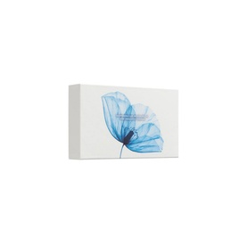 The Ritual of Hammam - Small Gift Set