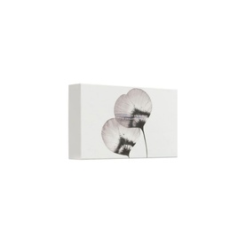 Rituals Homme - Small Gift Set