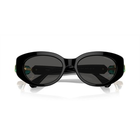 Oval Sunglasses SK6002