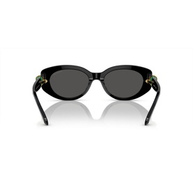 Oval Sunglasses SK6002