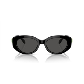 Oval Sunglasses SK6002