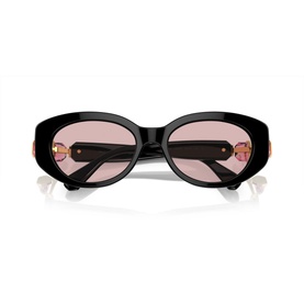 Oval Sunglasses SK6002