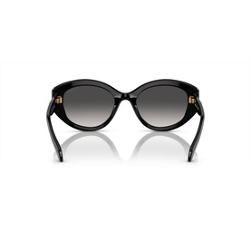 Irregular Sunglasses SK6005