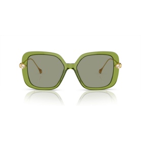 Pillow Sunglasses SK6011