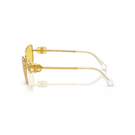 Irregular Sunglasses SK7003