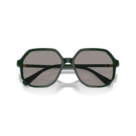 Irregular Sunglasses SK6003