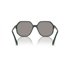 Irregular Sunglasses SK6003