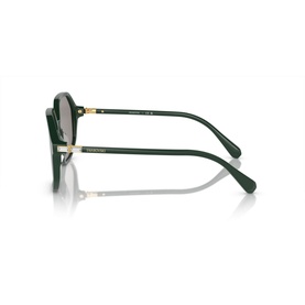 Irregular Sunglasses SK6003