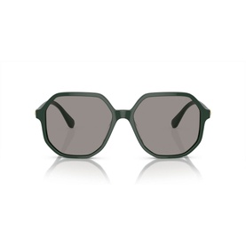 Irregular Sunglasses SK6003
