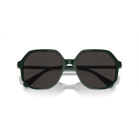 Irregular Sunglasses SK6003