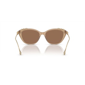 Cat Eye Sunglasses SK6010