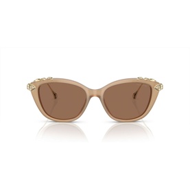 Cat Eye Sunglasses SK6010